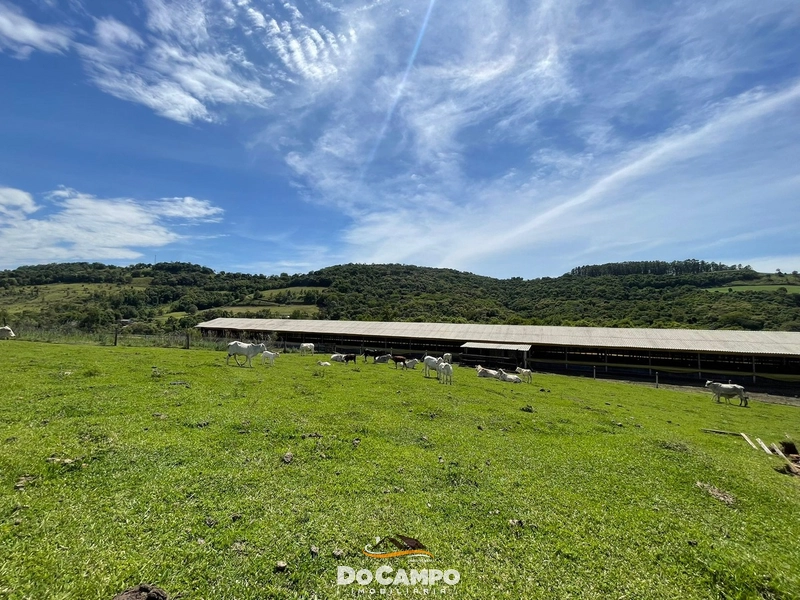 : 40ª foto da galeria de imagens do imóvel