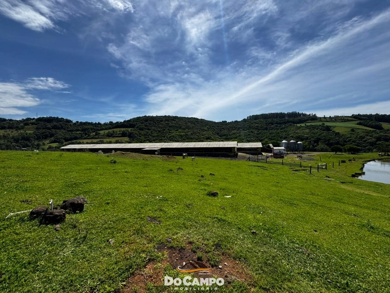 : 50ª foto da galeria de imagens do imóvel