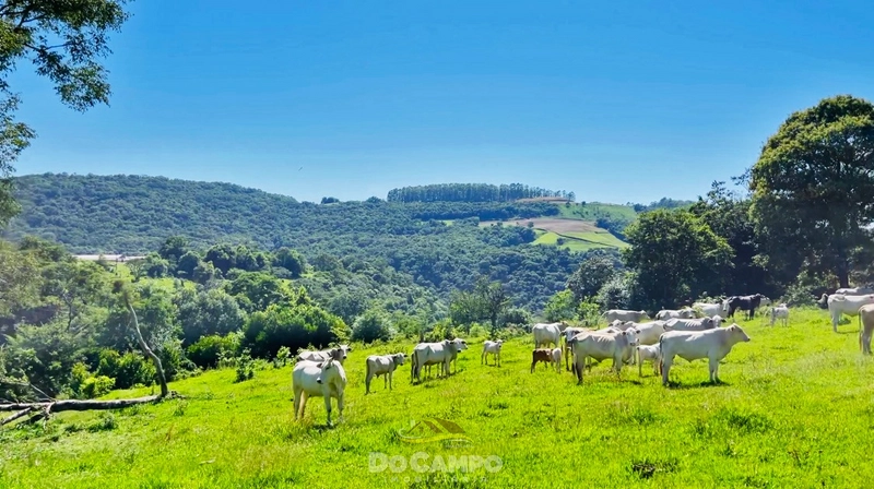 : 9ª foto da galeria de imagens do imóvel