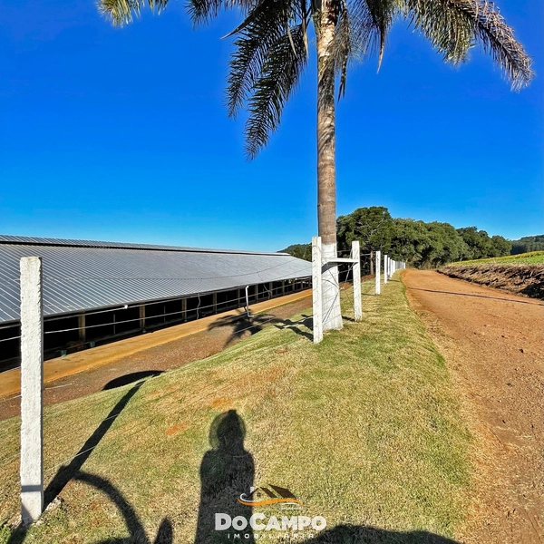: 14ª foto da galeria de imagens do imóvel