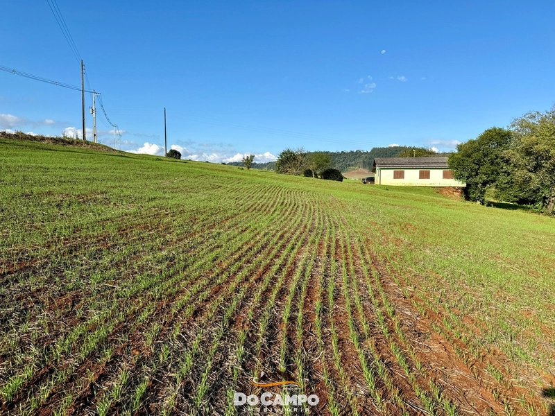 SÍTIO 24.7 HECTARES: 13ª foto da galeria de imagens do imóvel