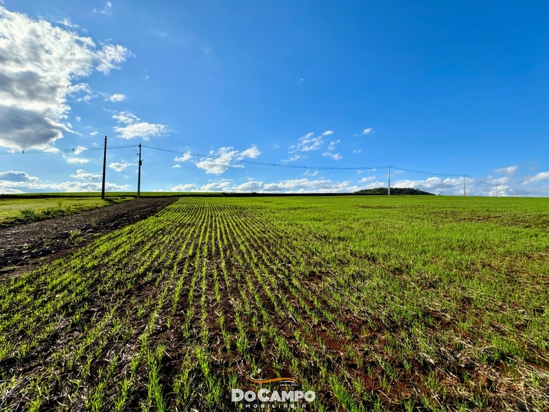SÍTIO 24.7 HECTARES: 10ª foto da galeria de imagens do imóvel