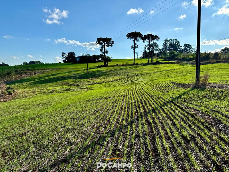 SÍTIO 24.7 HECTARES: 14ª foto da galeria de imagens do imóvel