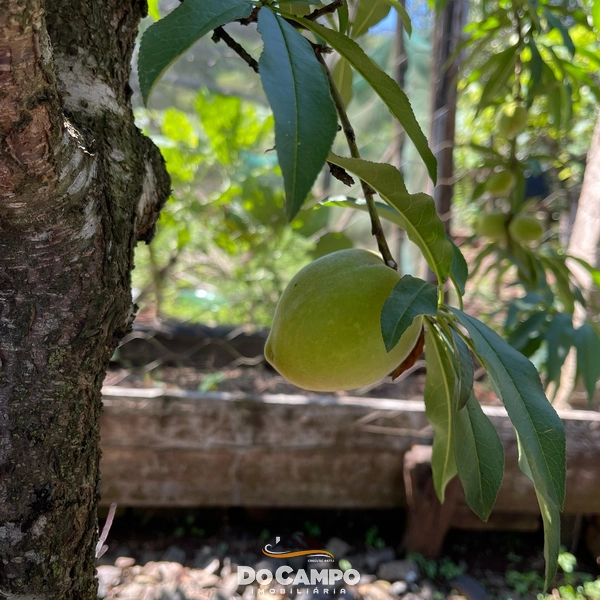 : 24ª foto da galeria de imagens do imóvel
