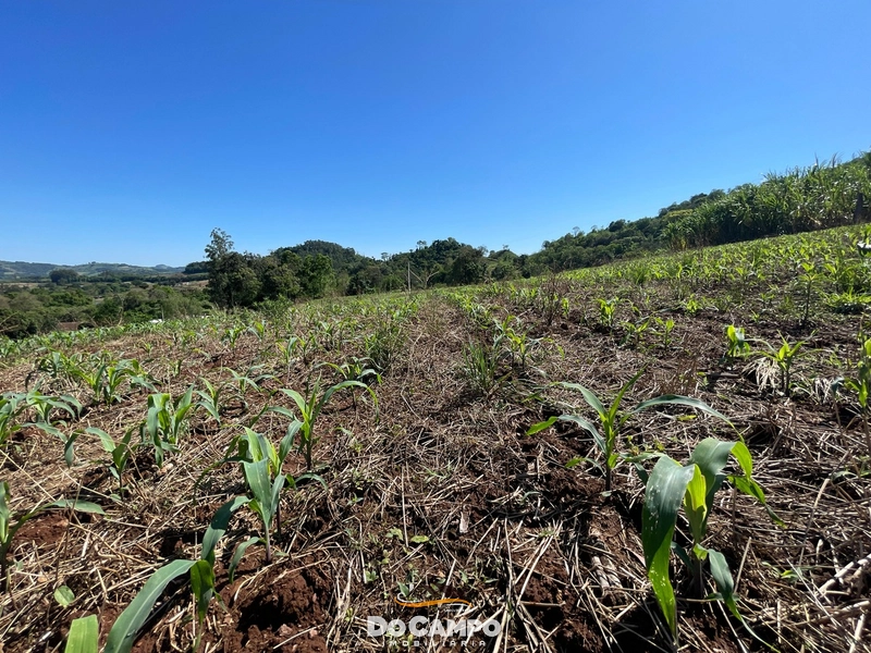 : 29ª foto da galeria de imagens do imóvel