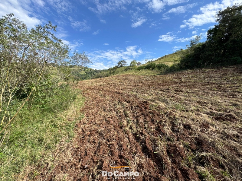 : 25ª foto da galeria de imagens do imóvel