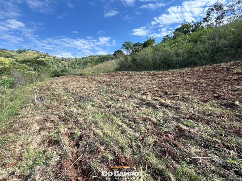 : 24ª foto da galeria de imagens do imóvel