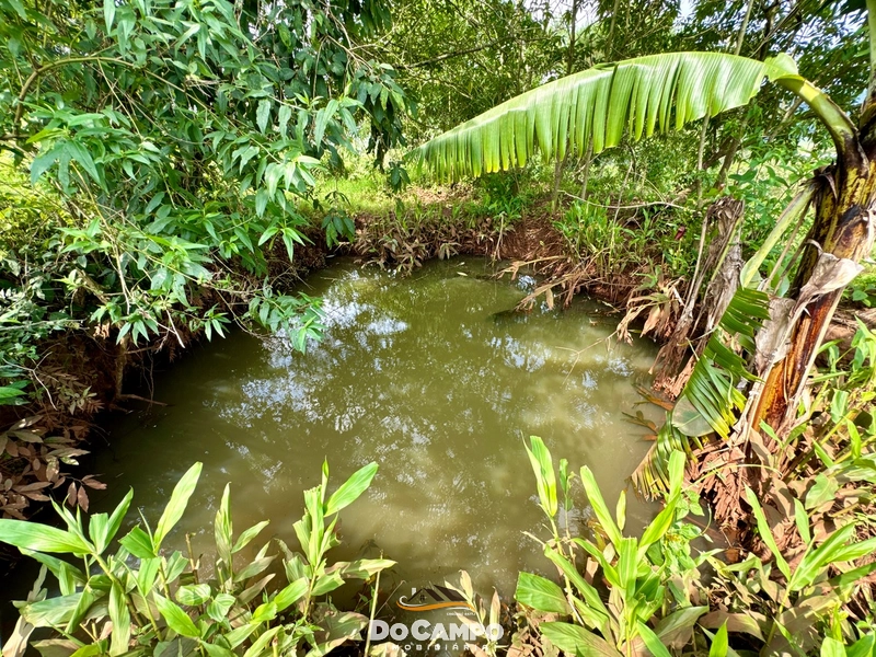 : 12ª foto da galeria de imagens do imóvel
