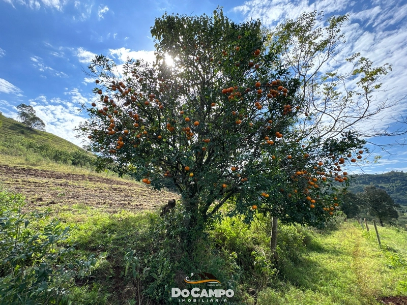 : 18ª foto da galeria de imagens do imóvel