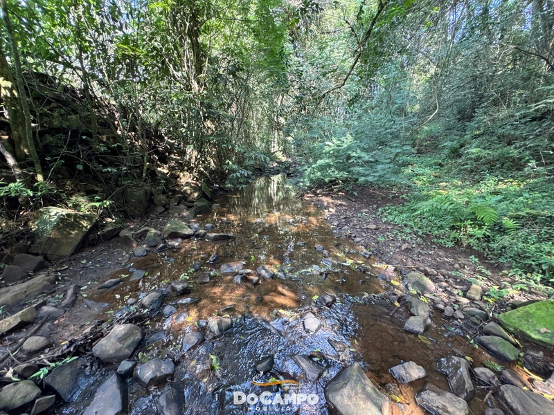 : 20ª foto da galeria de imagens do imóvel