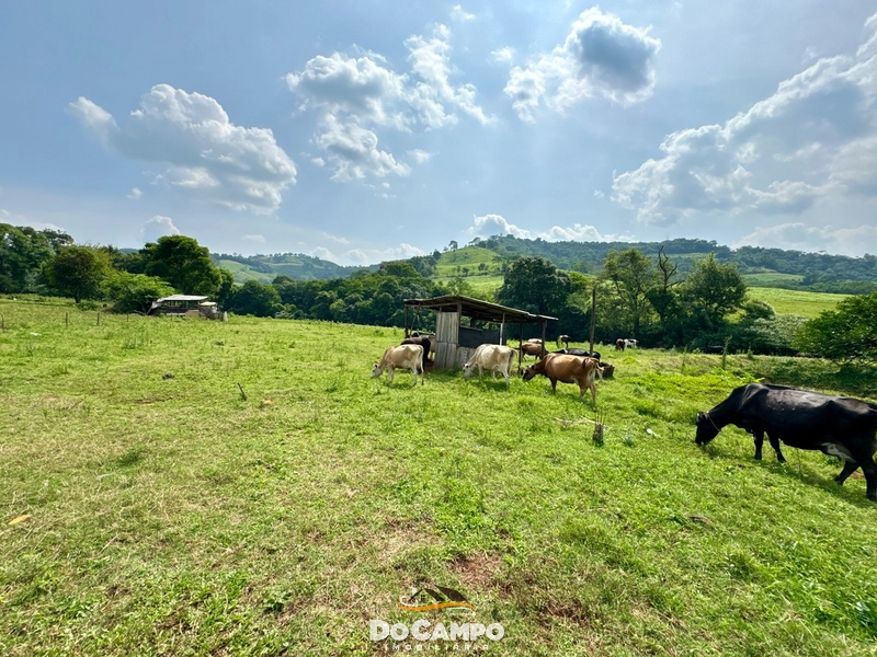 : 6ª foto da galeria de imagens do imóvel