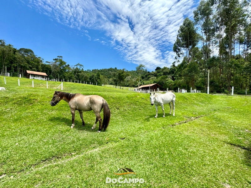 : 30ª foto da galeria de imagens do imóvel