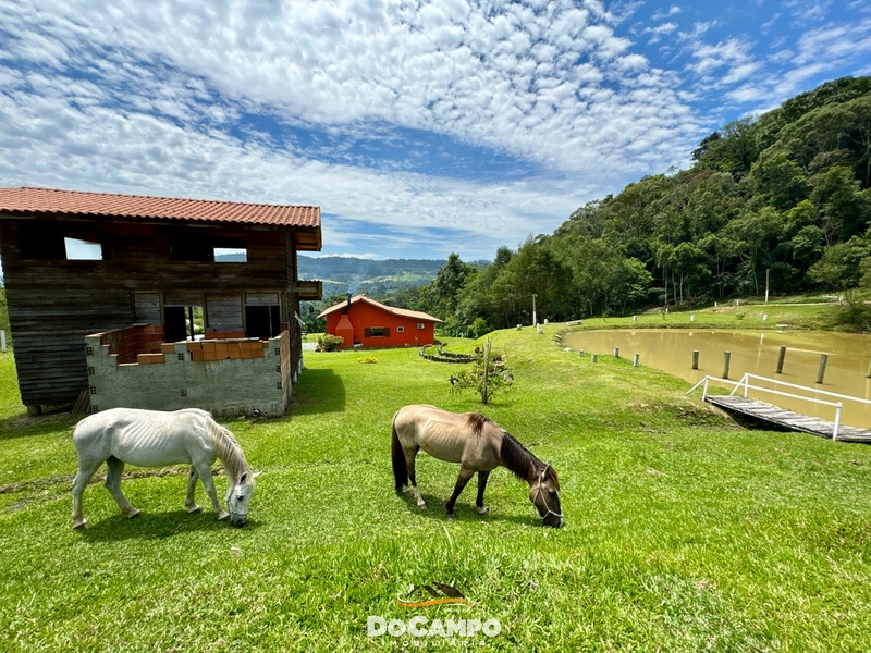 : 29ª foto da galeria de imagens do imóvel