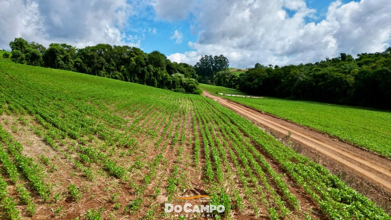 : 16ª foto da galeria de imagens do imóvel