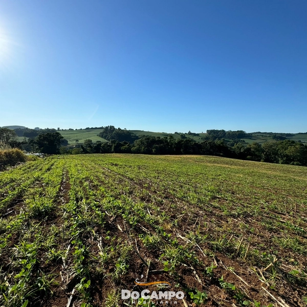 : 2ª foto da galeria de imagens do imóvel
