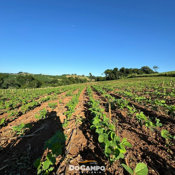 : 6ª foto da galeria de imagens do imóvel