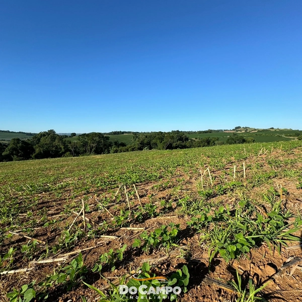 : 4ª foto da galeria de imagens do imóvel