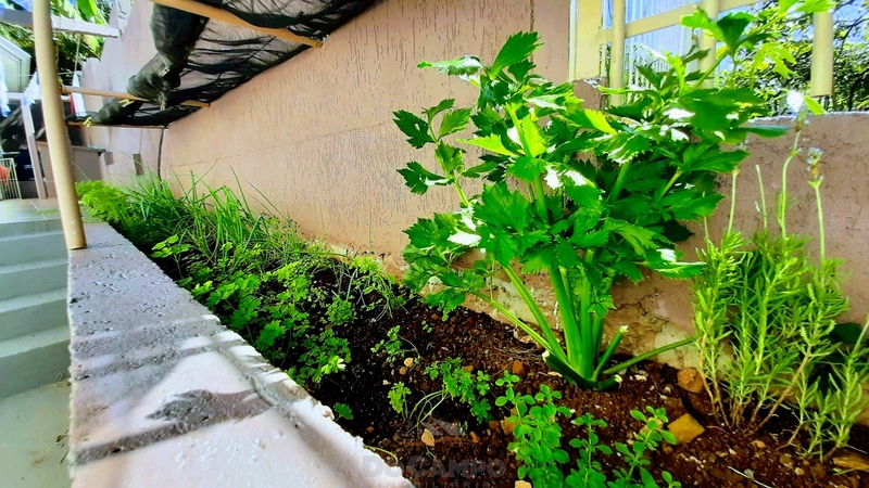 CASA COM PISCINA: 33ª foto da galeria de imagens do imóvel