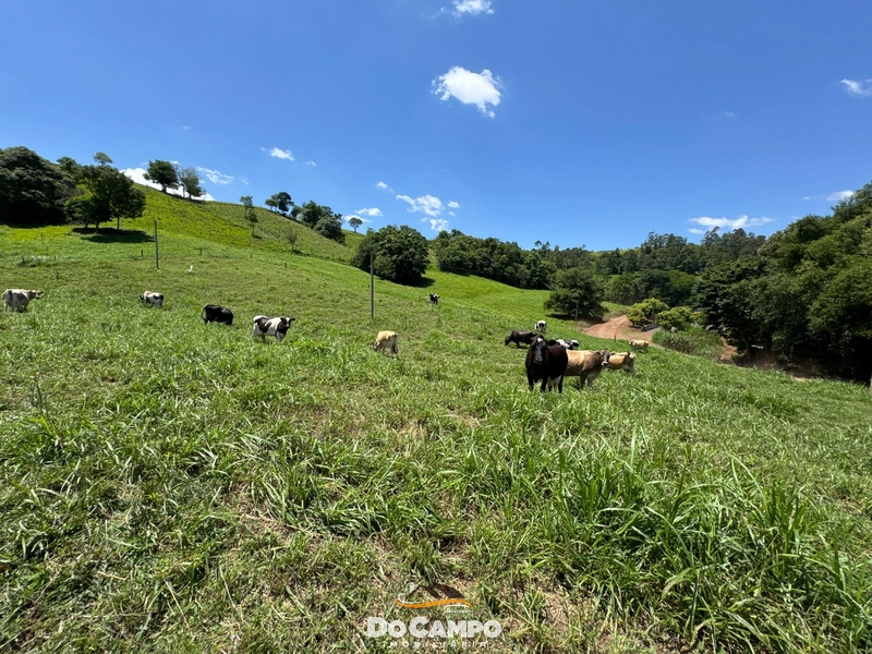 : 11ª foto da galeria de imagens do imóvel
