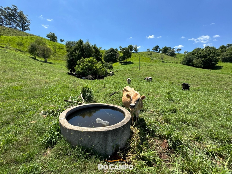 : 9ª foto da galeria de imagens do imóvel