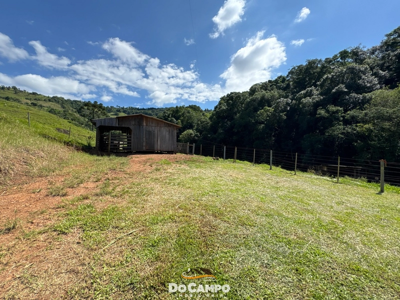 : 12ª foto da galeria de imagens do imóvel