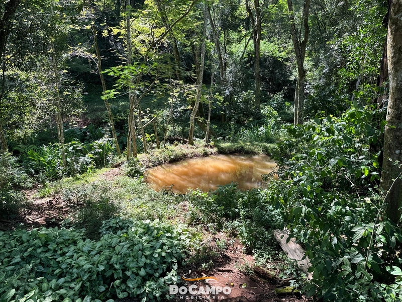 : 5ª foto da galeria de imagens do imóvel
