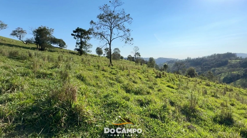 : 10ª foto da galeria de imagens do imóvel