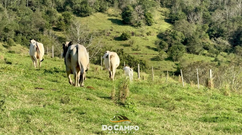 : 7ª foto da galeria de imagens do imóvel