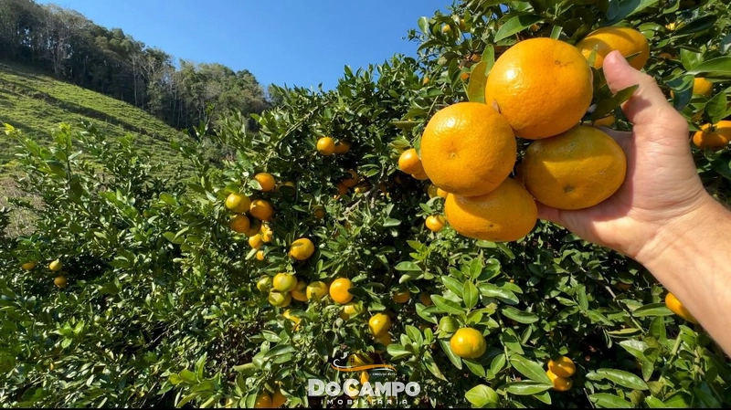 : 17ª foto da galeria de imagens do imóvel
