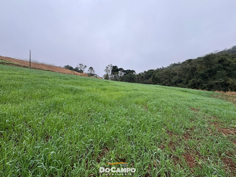 : 5ª foto da galeria de imagens do imóvel