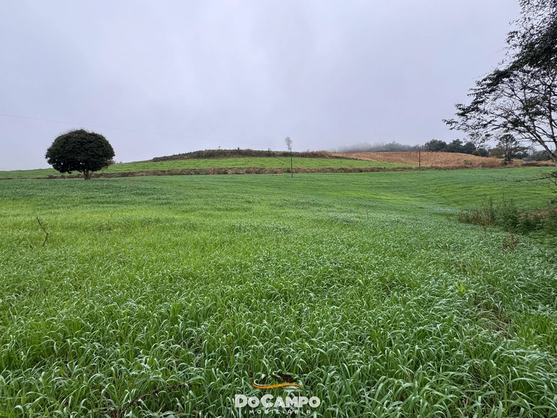 : 7ª foto da galeria de imagens do imóvel