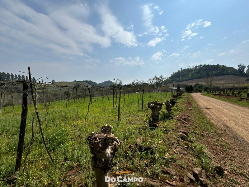 : 11ª foto da galeria de imagens do imóvel