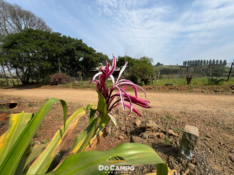 : 10ª foto da galeria de imagens do imóvel