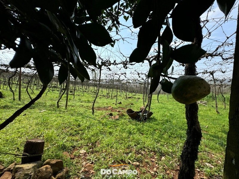 : 13ª foto da galeria de imagens do imóvel