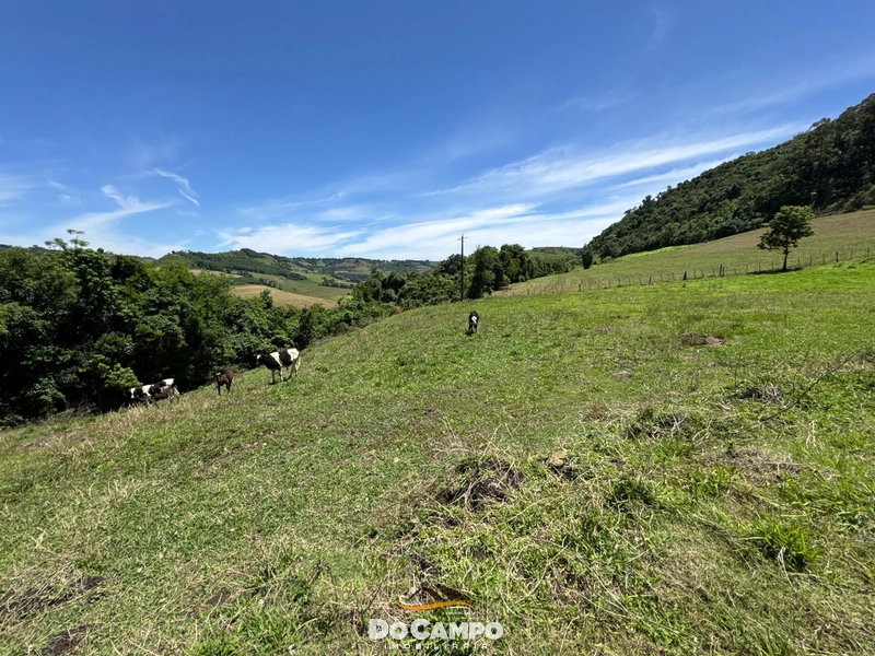 : 11ª foto da galeria de imagens do imóvel