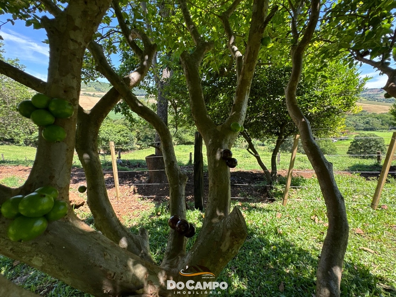 : 14ª foto da galeria de imagens do imóvel