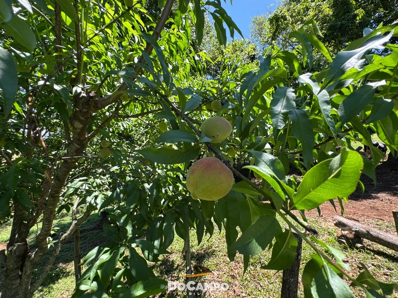 : 6ª foto da galeria de imagens do imóvel
