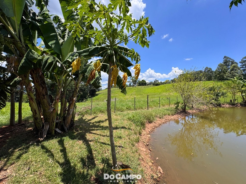 : 6ª foto da galeria de imagens do imóvel