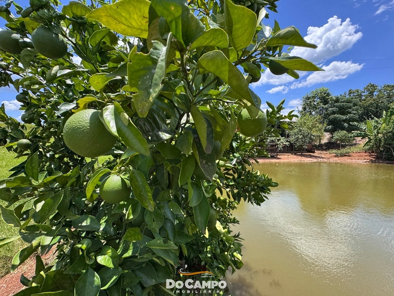 : 16ª foto da galeria de imagens do imóvel