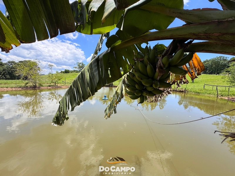 : 13ª foto da galeria de imagens do imóvel
