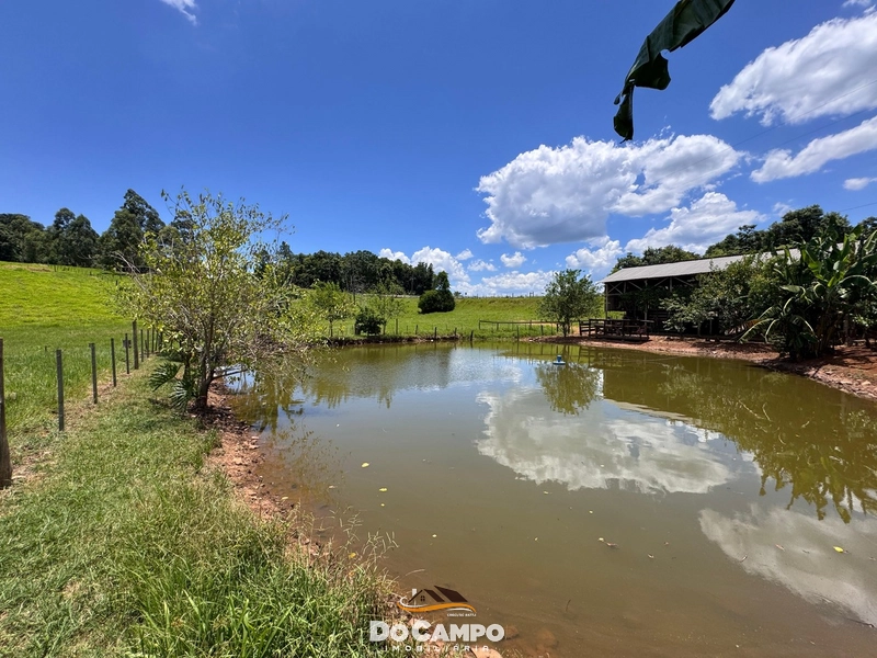 : 5ª foto da galeria de imagens do imóvel