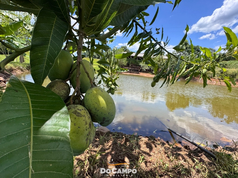 : 15ª foto da galeria de imagens do imóvel