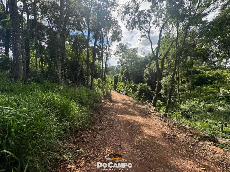 : 14ª foto da galeria de imagens do imóvel