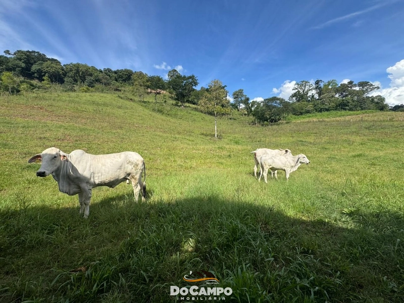 : 7ª foto da galeria de imagens do imóvel