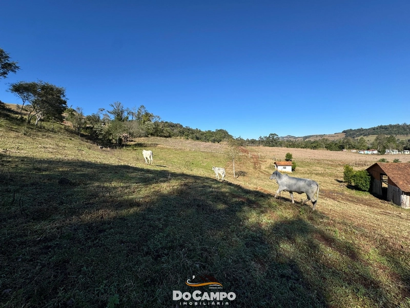 : 26ª foto da galeria de imagens do imóvel