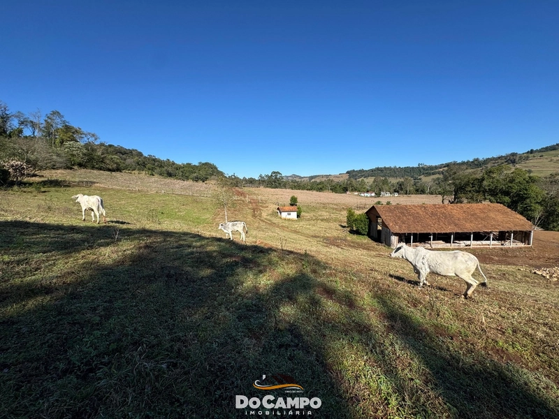 : 5ª foto da galeria de imagens do imóvel