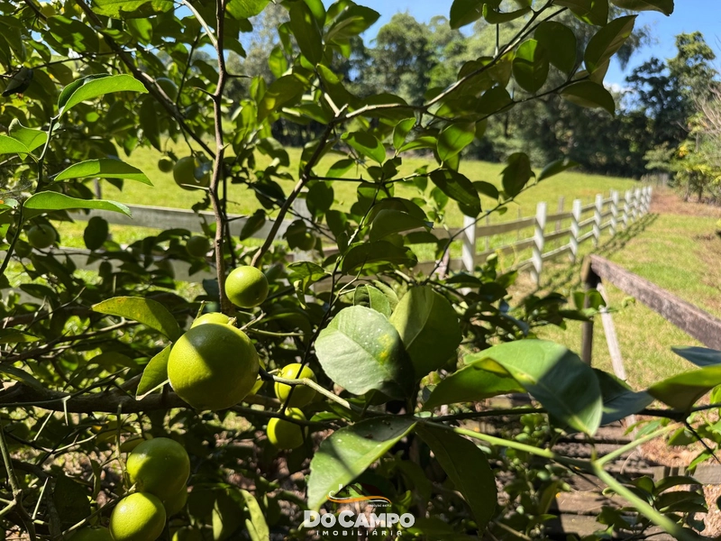 : 26ª foto da galeria de imagens do imóvel