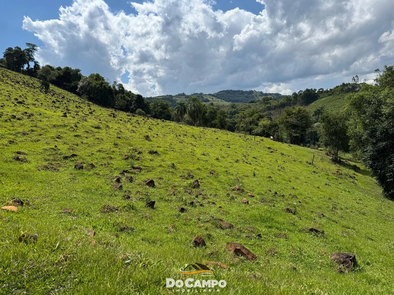 : 4ª foto da galeria de imagens do imóvel