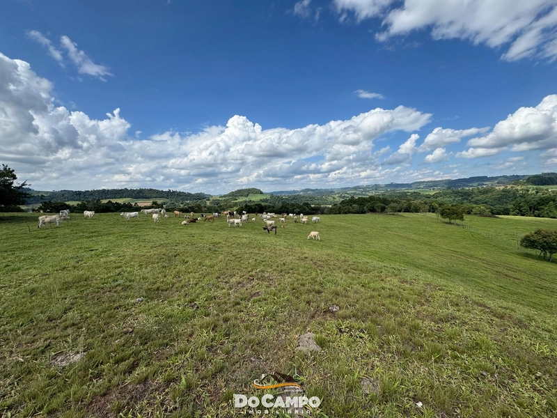 : 5ª foto da galeria de imagens do imóvel