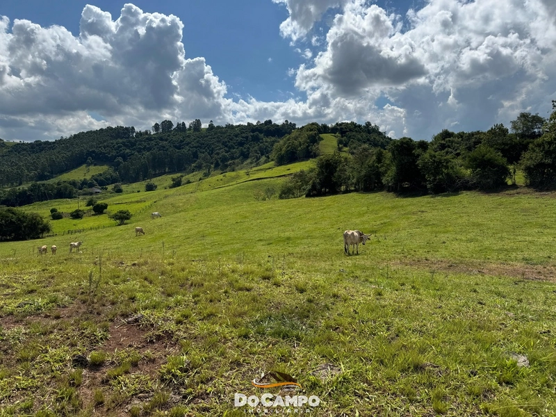 : 12ª foto da galeria de imagens do imóvel